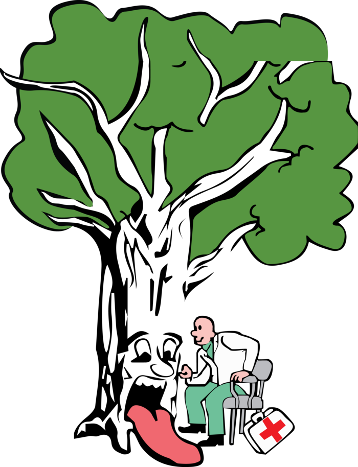  Profile Photos of Brockley Tree Service 527 Third Street - Photo 1 of 1