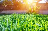  Mighty Green Lawn Care 1809 Riverchase Drive #361121 