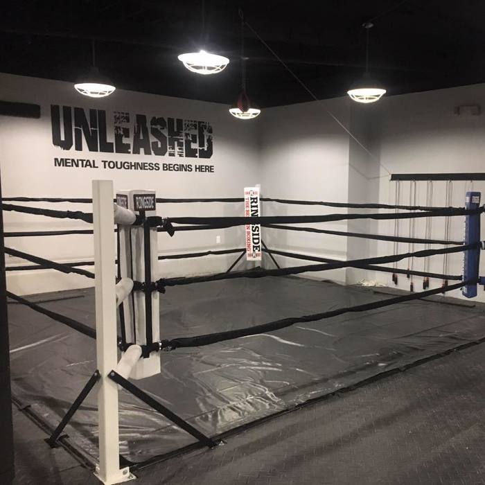  Unleashed Boxing of Unleashed Boxing 22 S Main St - Photo 4 of 6