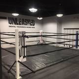 Unleashed Boxing, Clawson