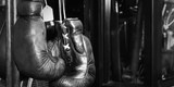 Unleashed Boxing, Clawson