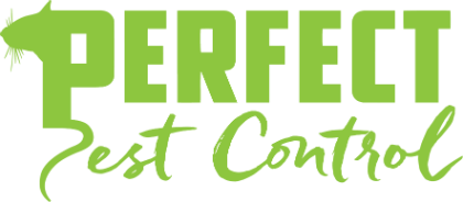  Profile Photos of Perfect Pest Control Serving around - Photo 1 of 1