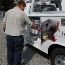  Profile Photos of Hall's Pest Control Inc. 1061 3rd St # 1 - Photo 3 of 5