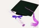  Krishna Training Institute 85-87, Main Road, Kingsway Camp, New Delhi 