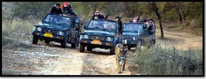  Profile Photos of Golden Triangle with Ranthambore Tour 306, Ocean Complex, Sector-18, Noida - 201301, India - Photo 1 of 4