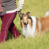 Beekel Farms Kennels, Adrian
