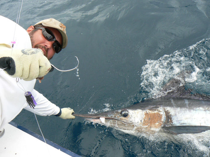  Profile Photos of Ecuagringo - Marlin and Tuna Fishing 23427 Drayton Drive - Photo 4 of 4