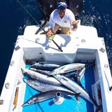  Ecuagringo - Marlin and Tuna Fishing 23427 Drayton Drive 