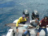  Ecuagringo - Marlin and Tuna Fishing 23427 Drayton Drive 