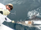 Ecuagringo - Marlin and Tuna Fishing 23427 Drayton Drive 