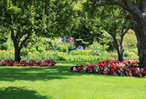 GK Gardens, El Cajon