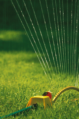Triple S SOD, Holcomb Village