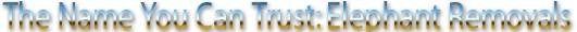  Profile Photos of Home Removals, Moving Company, Relocation Services 53 Wandle Way - Photo 10 of 15
