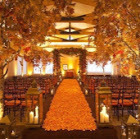 Pink Tree For Hire - Wow Rentals, Edenbridge