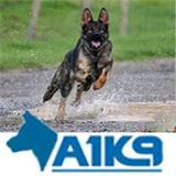  A1K9 Ltd Cwmdulais House, Cwmdulais, Nr. Pontardulais 
