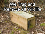  BEDR Wildlife Removal 6998 Eagles Nest Lane, #200 