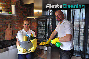 Alesta Cleaning - London  of Alesta Cleaning 9 starboard way - Photo 13 of 27