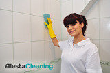  Alesta Cleaning 9 starboard way 