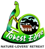 Forest Edge - Nature Lovers' Retreat, Knysna