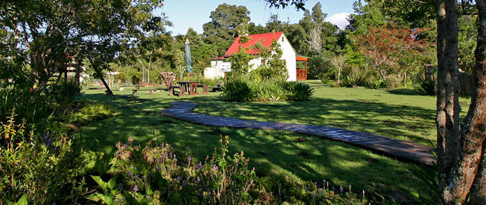 Field Mouse Cottage Forest Edge Cottages of Forest Edge - Nature Lovers' Retreat Farm 118, Edge of Indigenous Forest, Rheenendal, Knysna, Garden Route, Western Cape, South Africa - Photo 2 of 3