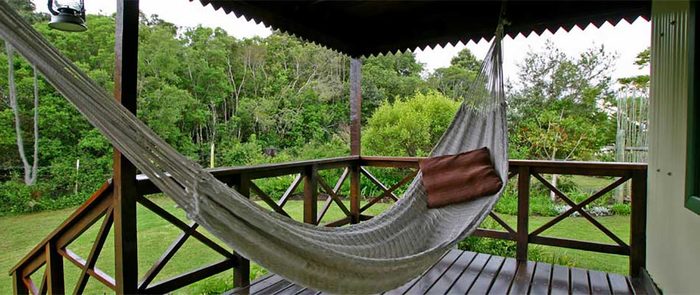 Fairy Den Cottage Forest Edge Cottages of Forest Edge - Nature Lovers' Retreat Farm 118, Edge of Indigenous Forest, Rheenendal, Knysna, Garden Route, Western Cape, South Africa - Photo 3 of 3