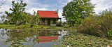 Froggy Pond, Forest Edge - Nature Lovers' Retreat, Knysna