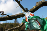 Dmv Tree Service inc, Valparaiso