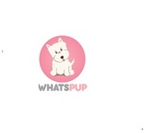 Best Pet Grooming Services in Delhi, Delhi