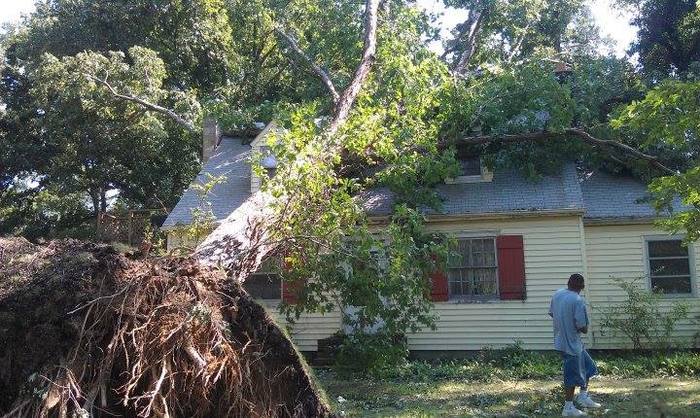  New Album of Garrison Tree Service 8100 S Quaker Rd - Photo 2 of 4