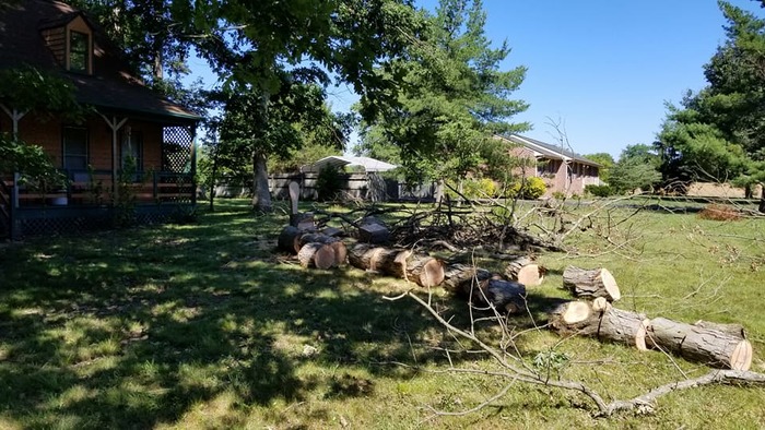  New Album of Garrison Tree Service 8100 S Quaker Rd - Photo 3 of 4