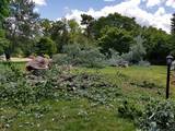 Garrison Tree Service, Quinton