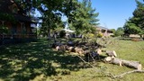 Garrison Tree Service, Quinton