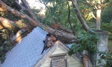 Garrison Tree Service, Quinton