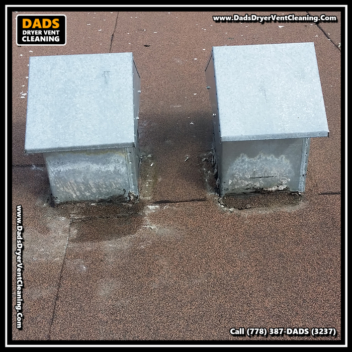 Dryer Vent Cleaning Rooftop Strata www.DadsDryerVentCleaning.com Surrey Delta Langley Abbostford Maple Ridge Profile Photos of Dad's Dryer Vent Cleaning 8089 209 St - Photo 9 of 20 Dryer Vent Cleaning Rooftop Strata www.DadsDryerVentCleaning.com Surrey Delta Langley Abbostford Maple Ridge Profile Photos of Dad's Dryer Vent Cleaning 8089 209 St - Photo 9 of 20