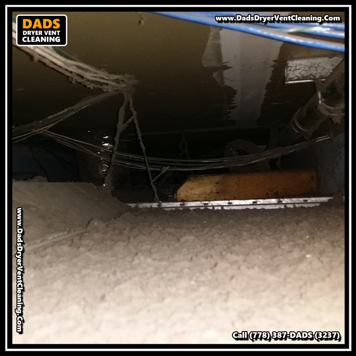  Profile Photos of Dad's Dryer Vent Cleaning 8089 209 St - Photo 10 of 20