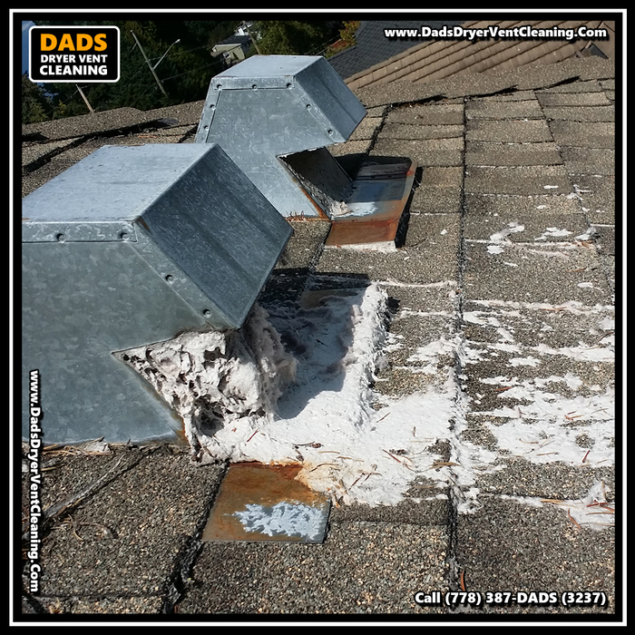  Profile Photos of Dad's Dryer Vent Cleaning 8089 209 St - Photo 12 of 20