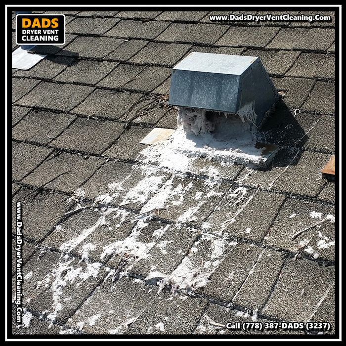  Profile Photos of Dad's Dryer Vent Cleaning 8089 209 St - Photo 14 of 20