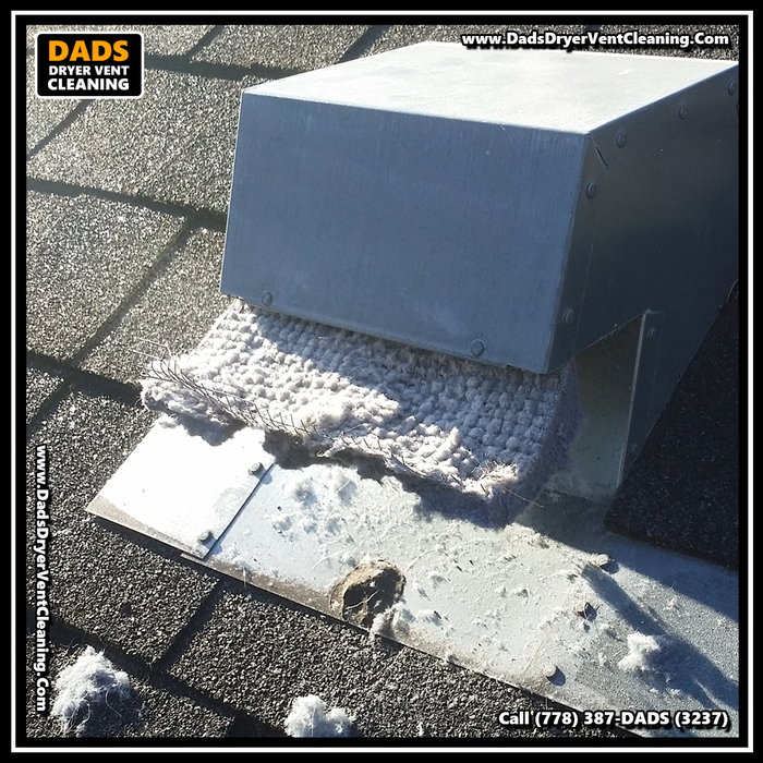  Profile Photos of Dad's Dryer Vent Cleaning 8089 209 St - Photo 16 of 20