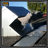  Dad's Dryer Vent Cleaning 8089 209 St 