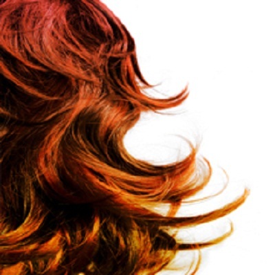  New Album of Topnotch Hair Designers Studio 207 W Morris Ave - Photo 4 of 4