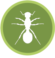  Profile Photos of Arguello Termite & Pest Control Davenport, IA, 52804 - Photo 1 of 1