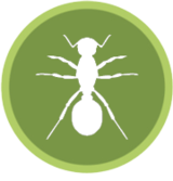Arguello Termite & Pest Control, Davenport