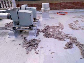  Profile Photos of Atlantic Air Duct & Dryer Vent Cleaning 122 Sussex Rd - Photo 6 of 6