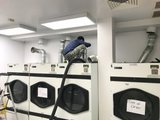 Atlantic Air Duct & Dryer Vent Cleaning, Elmont