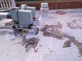 Atlantic Air Duct & Dryer Vent Cleaning, Elmont