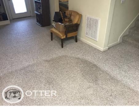  New Album of Otter Clean and Restore 1116 Dunnavant Valley Road - Photo 2 of 3