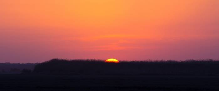 Sea Isle City Sunset Profile Photos of Sea Isle City Rentals and Real Estate 4110 Landis Avenue - Photo 6 of 9