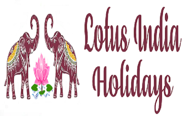  Profile Photos of Lotus India Holidays Plot No. 1 2nd Floor, Main Rohtak Road - Photo 1 of 1