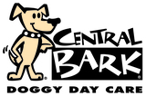 Central Bark Doggy Day Care, West Palm Beach