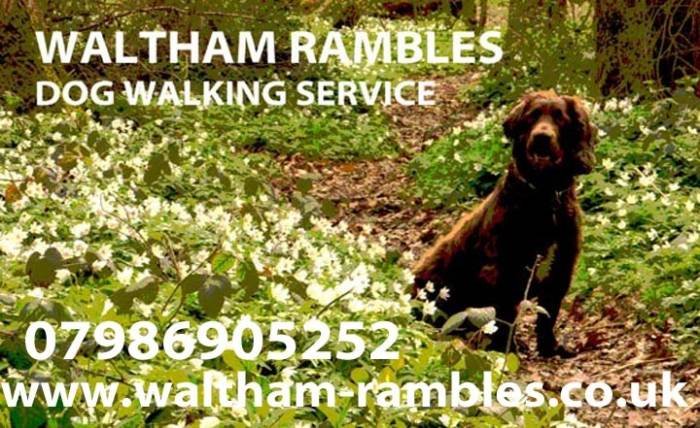  Profile Photos of Waltham Rambles Dog Walking Service Mount Pleasant - Photo 1 of 1